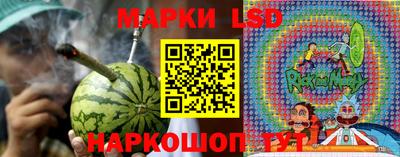 амф Гусь-Хрустальный