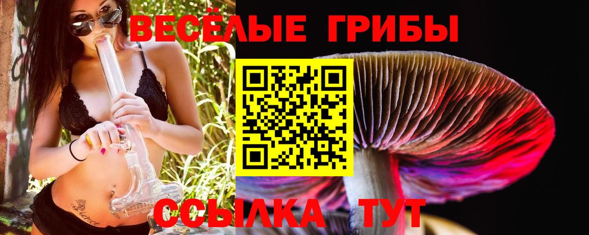 Луховицы  Галлюциногенные грибы ЛСД  Вход с VPN  Галлюциногенные грибы мицелий 