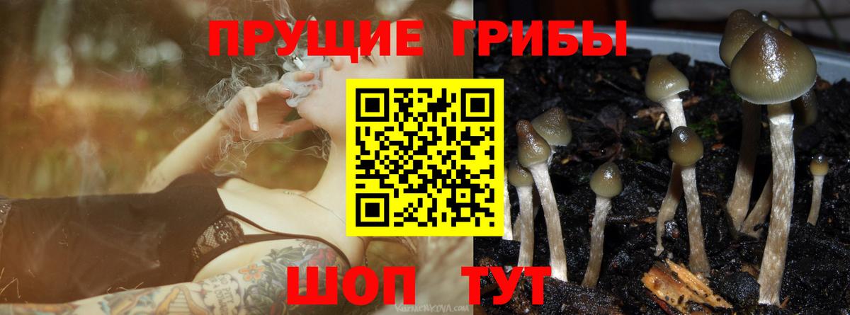Псилоцибиновые грибы MAGIC MUSHROOMS Луховицы
